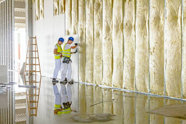 Types of Insulation We Offer in Mammoth Spring, AR